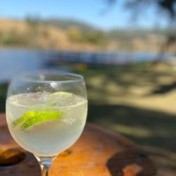 Bar Mobe Wake